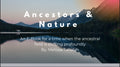 E-Book Ancestors and nature